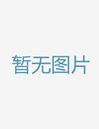 本波：隐形出租车6高清智能录播系统视频